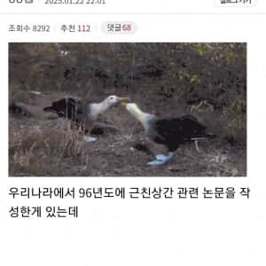 국내 근친상간 논문 읽었는데 신기하네 