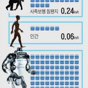 걷기로 살빼기 힘든 이유