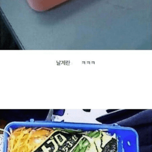 일본인 아내와 싸운 뒤의 도시락 상태 