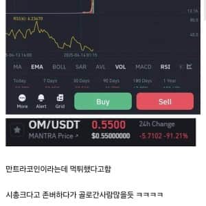 최근자 시총 10조 코인 먹튀 발생 