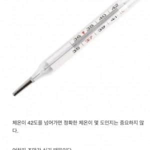 체온계가 42도밖에 못 재는 이유