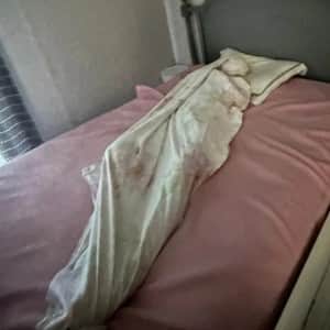 남편 자는 모습 찍어 올린 아내