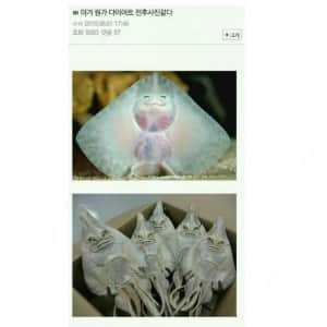 이 중 하나쯤은 널 웃기겠지