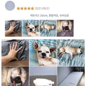 신뢰도 200%의 매트리스 후기