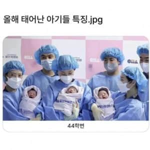 올해 태어난 아기들 특징