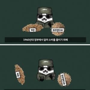 한국 카레가 노란색인 이유