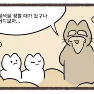 고양이 털 색깔이 정해지는 과정