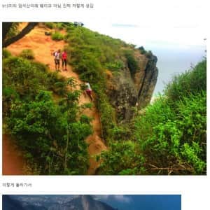 실제로 많이 죽는다는 포토존