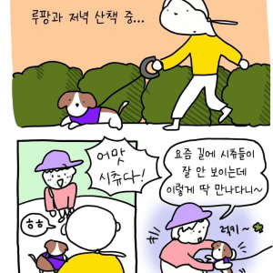 반려견 산책중 만난 아줌마 