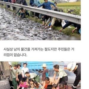 중국에서 화물차가 전복되면 생기는 일