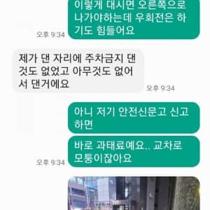 보배드림에서 화제였던 여성끼리 주차시비 붙은 사건