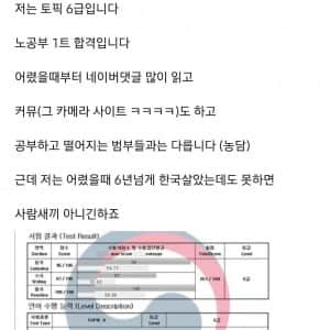 디씨인사이드로 한국패치한 일본인 