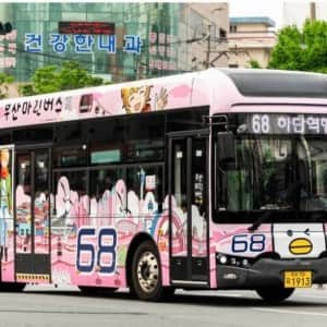 호불호 갈리는 부산 버스 디자인