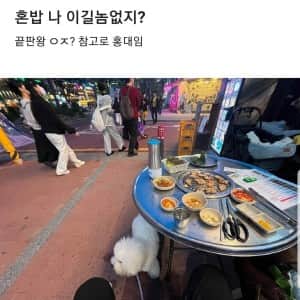 혼밥 나 이길놈 없지?