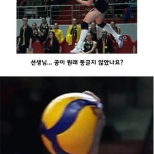 배구선수가 서브 칠 때 공 모양
