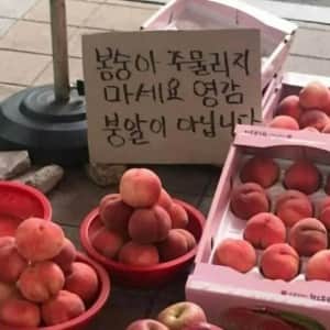 봉숭아주무르기