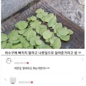 고양이를 위한 초등학생들의 배려