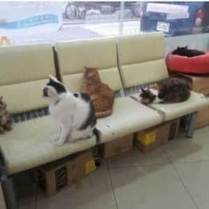 이병 일병 상병 병장