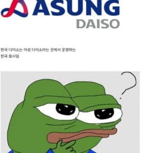 국내 시장으로 진출을 원하는 일본 다이소 근황