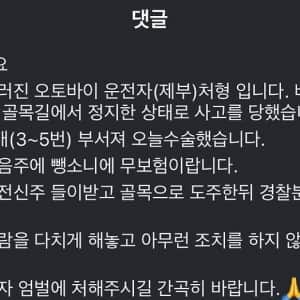 강남에서 음주운전으로 사람치고 도주
