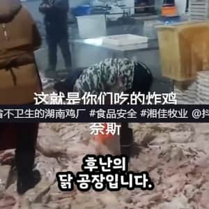 한국에 수출하는 중국 닭공장이라고 퍼지는 짤
