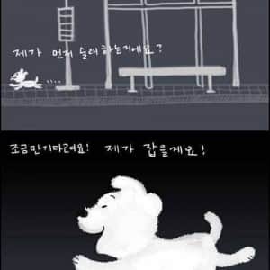 댕댕이가 버려질 때의 심리