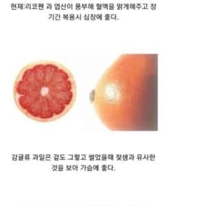 신체부위를 닮아 몸에 더 좋은 음식