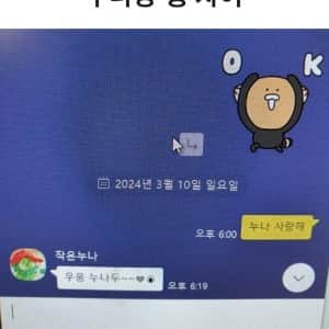 누나와 형 차이 레전드