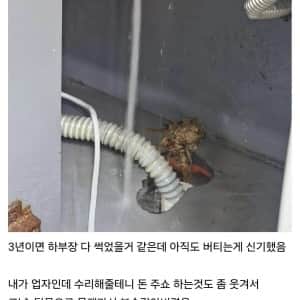 햄부기집 세면대 몰래 고쳐준 업자 