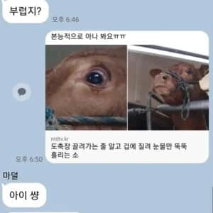 소고기 먹는다고 자랑하는 엄마