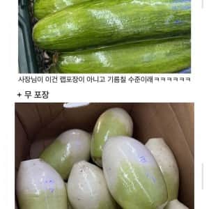야채포장 알바하는데 사장님한테 칭찬 받음