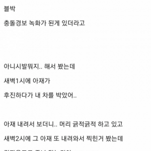 물피도주 당했던 디씨인