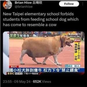 대만의 한 초등학교에서 금지하는 것