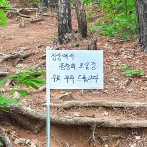 무개념 등산객 레전드..