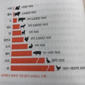 의외로 세계에서 많이 소비되는 고기