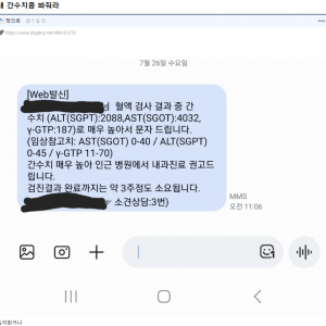 간수치 4000나왔다는 사람