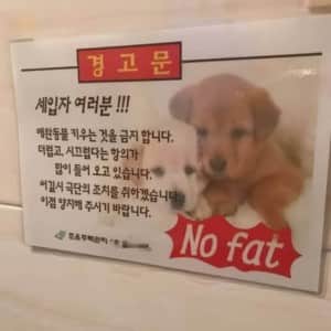 살찌면 집뺏김