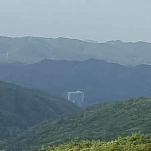 연봉 8천 주면 지방 온다는 ㅅㄲ들 특징