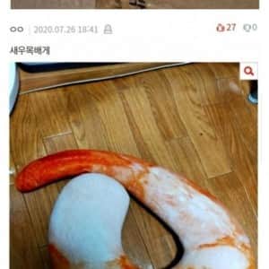 네이트판에 올라온 희귀한 물건 대결 
