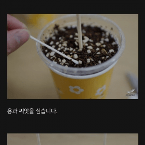 1300일만에 용과 꽃 피운 드루이드