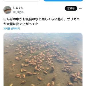 미쳐버린 일본 날씨 근황