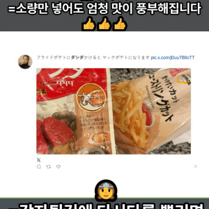 일본에 수출 된 다시다 근황