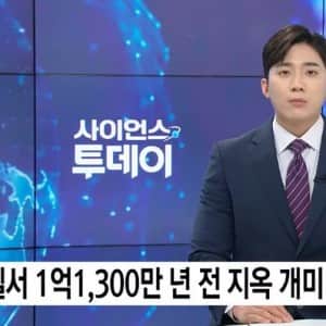 브라질에서 발견된 약 1억년 전의 지옥개미 화석 