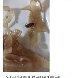음식에서 바퀴벌레가 나왔다고하자 사장이 보인 반응 