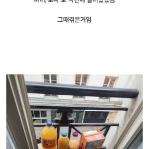 충격적인 유럽 여행에서 느낀점