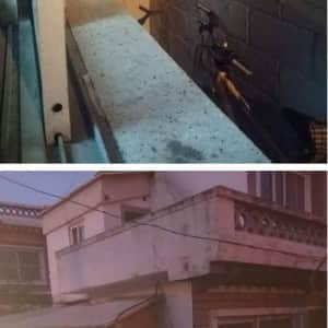 고양이들에게 소문난 집