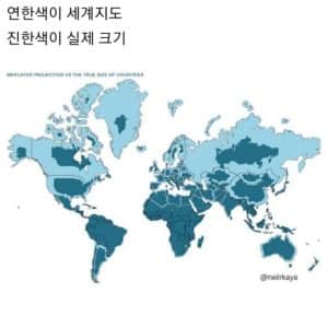 왜곡없는 실제 세계지도 