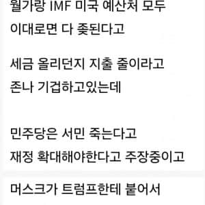 지금 트럼프 머스크가 싸우는 이유 본질
