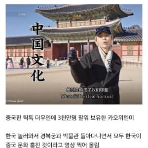 요즘 중국 틱톡커들이 한국에와서 하는짓