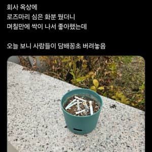 회사 옥상에 화분을 놔두면 생기면 일 